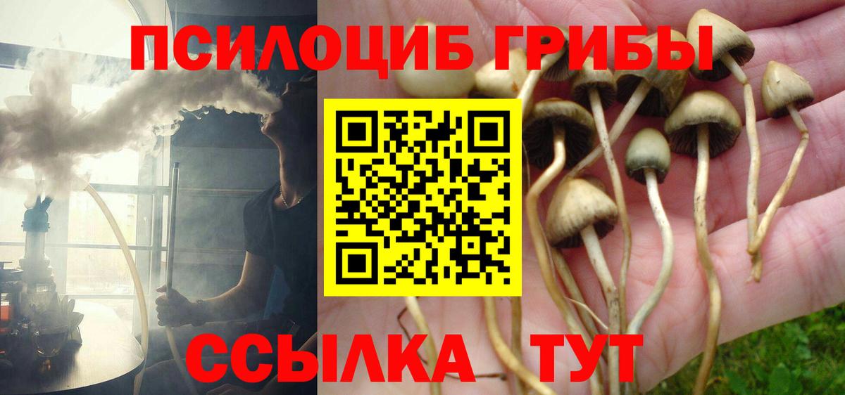 Галлюциногенные грибы мицелий Кашира