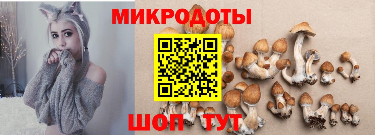 Псилоцибиновые грибы Psilocybine cubensis  Псилоцибиновые грибы прущие грибы  Вход с VPN  Кашира 